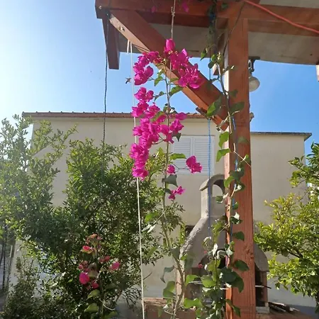 Makarska شقة درفينيك