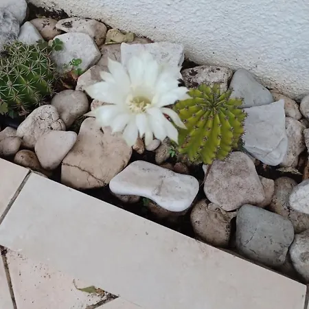 Apartment Makarska *