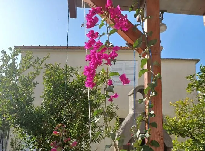 Makarska Apartment Drvenik (Split-Dalmatia)